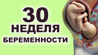 Что происходит с ребенком и мамой на 30 неделе беременности? 7 месяц беременности. Третий триместр.