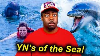 DOLPHINS = "SEA DIDDY"