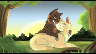 Goldenflower & Tigerstar--Criminal