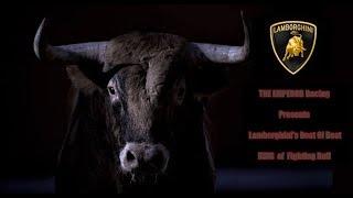 Lamborghini's Best Of Best KING of Fighting Bull / THE EMPEROR Racing Team Official Presents