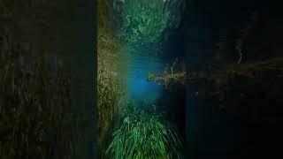 Beautiful view underwater video #music #sk #1shotnox #iphone #shorts