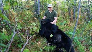 Black Bear Interrupted my Grouse Hunt