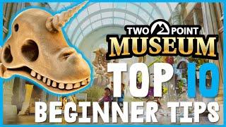 TOP 10 Beginner Tips for Two Point Museum