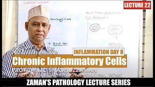 General Pathology: Lecture 22 | Inflammation DAY 08 | Chronic Inflammatory cells