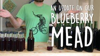 An Update on the Blueberry Melomel Mead | Brewin' the Most
