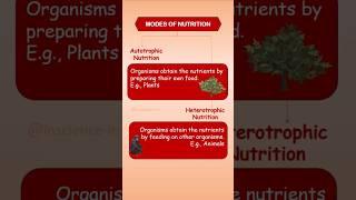 Autotrophic and Heterotrophic Nutrition #ModesOfNutrition #Autotrophic #heterotrophic #InScience