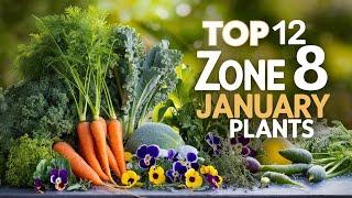 12 Must Grow Vegetables and Plants for an Incredible Zone 8 Garden This January