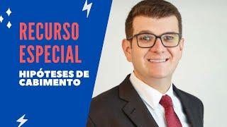 Recurso Especial  - Hipóteses de cabimento