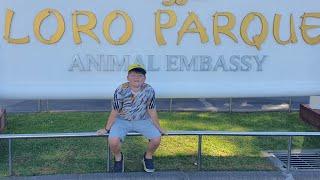 Loro Parque Tenerife (Inc all 4 shows)