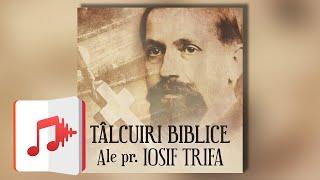 Tâlcuiri biblice ale Părintelui Iosif Trifa | Carte Audio | Preot IOSIF TRIFA