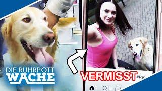 Süß ! Treuer Hund holt Hilfe für ENTFÜHRTES Frauchen ​ | Die Ruhrpottwache | SAT.1