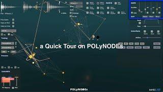 a quick tour on PolyNodes.