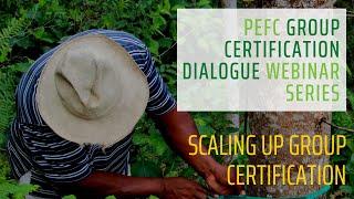 Scaling up group certification through collaboration amongst the PEFC alliance