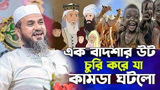 এক বাদশার উট চুরি করে যা কামডা ঘটলো - মোশতাক ফয়েজী নতুন ওয়াজ / mostak foyezi