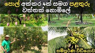 සුපිරි පොල් හා පළතුරු වත්තක් විකිණීමට | idam lanka | coconut and fruit land sale in srilanka