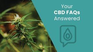 Your CBD FAQs, Answered | Dr. Josh Axe