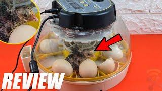 KEBONNIXS 12 Egg Incubator Unboxing and Review