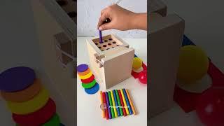 Montessori Exploration Box: 4-in-1 Activities at PeppyPod.com