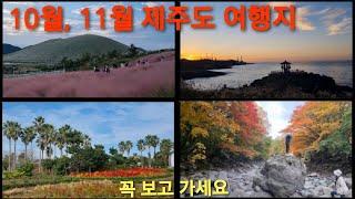 제주도 가을(10월, 11월)에 가면 좋은 여행지  추천해요