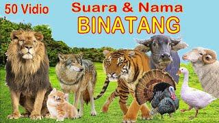 50 Binatang Dengan Suaranya