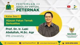 HIJAUAN PAKAN TERNAK BERKUALITAS - SEKOLAH VIRTUAL PETERNAK