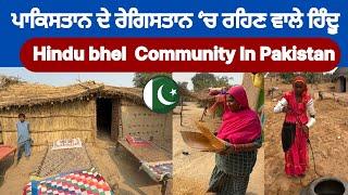 Hindu Bhel Community Pakistan | Desert Life | Hindus Village | Rahim Yar Khan