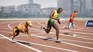 Animal Speed Comparison: The Fastest Man VS The Fastest Dog | Usain Bolt VS Greyhound l 3D Animation