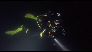 Flight: Diving La Jolla Canyon