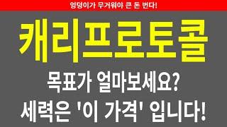 [캐리프로토콜 코인전망] 목표가 얼마보세요? 세력은 '이 가격'입니다!