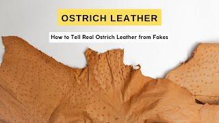 Real Ostrich Leather? How to Tell the Difference Between Real Ostrich Leather and Fake Leather Print