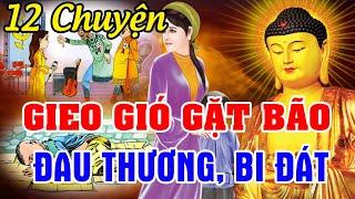 12 Chuyện Nhân Quả Hay 2024, GIEO GIÓ GẶT BÃO Báo Ứng 3 Đời...Luân Hồi Đòi Nợ | Chuyện Đêm Khuya