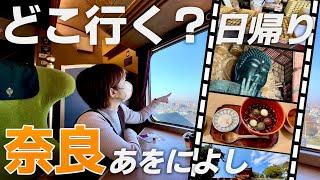 【観光列車で行こう】奈良を大満喫する7時間 日帰り旅｜モデルコース・観光vlog