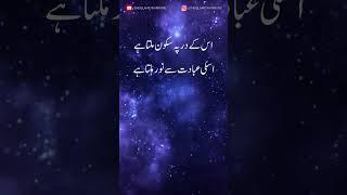 Islamic Poetry Status in Urdu | @TheIslamicWarriors #ytshorts #islamicpoetry #islamicpoetrystatus