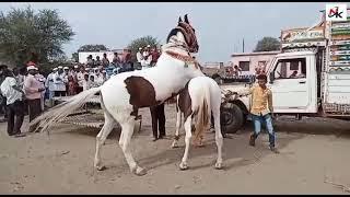 Lagn, ghoda, dance