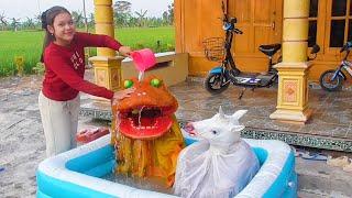 Barongan Take a bath with the horse so that it is clean and smells good