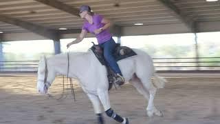 HOW TO IMPROVE YOUR HORSEBACK RIDING SKILLS