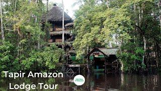 Tapir Amazon Lodge - Ecuador | Video Tour