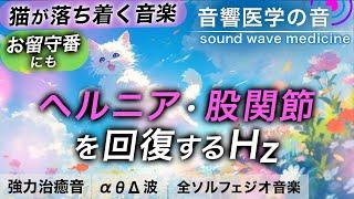 【猫が落ち着く音楽】ヘルニアと股関節の治癒音┃お留守番にも┃超回復のα波･θ波･デルタ波┃全ソルフェジオ周波数