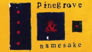 Pinegrove - Namesake