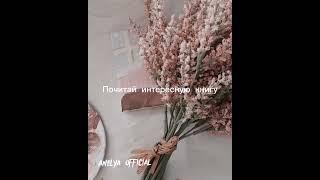 anelya official ️ что делать если нет инета