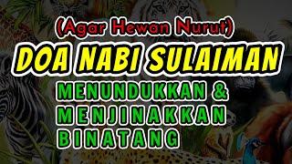 Doa Nabi Sulaiman Untuk Menundukan Dan Menjinakkan Binatang Dan Agar Hewan Nurut