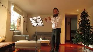 IANKO BOGDAN PEÑAFORT VILLA - Flauta - OA Audición 2019