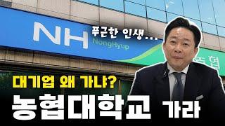 합격만 하면 인생 끝나는 대학교