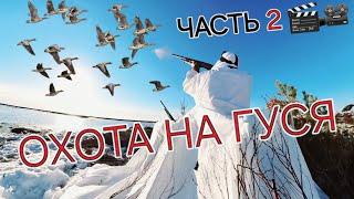 Продолжение! #Весна #ОХОТА на гуся 2024