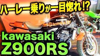 【Z900RS】ハーレー乗りが一目惚れ！？ライコランド東雲店に行ってきた！【Motovlog】