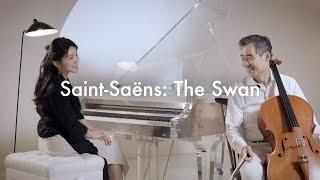 카미유 생상스: 백조 (첼리스트 양성원, 피아니스트 안인모) | Camille Saint-Saëns : The Swan