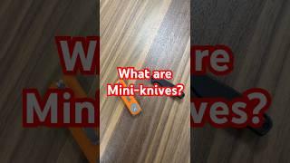 A MINI-KNIFE? WHY WOULD YOU WANT THAT   AS AN EDC KNIFE!?! #edc #everydaycarry #edcknife #knife