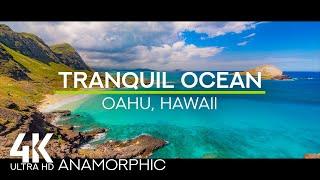 Anamorphic Relaxing Video of Pacific Ocean - 4K Crashing Waves Soundscape from Makapu'u Lookout, HI