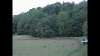 Saujagd, Ansitzjagd