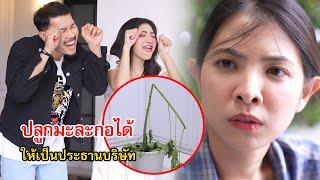 ต้นมะละกอ ใครปลูกได้ให้เป็นประธานบริษัท | Lovely Family TV